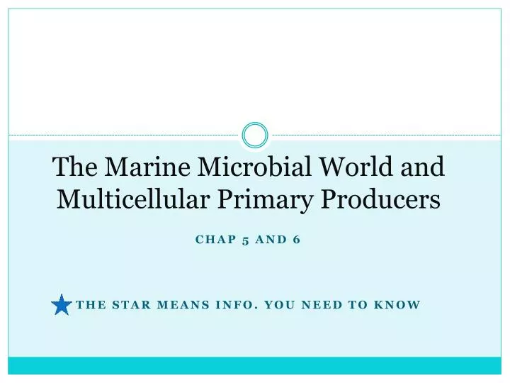 the marine microbial world and multicellular primary producers
