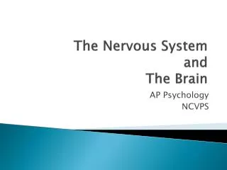 The Nervous System and The Brain