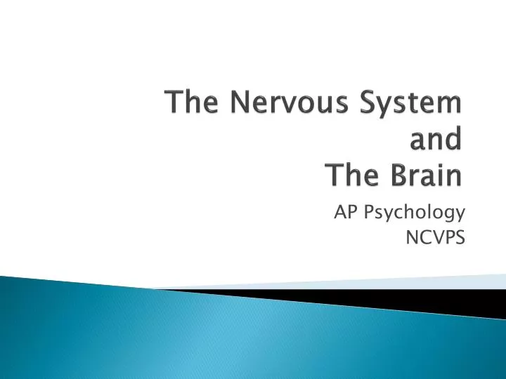 the nervous system and the brain