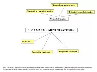 CIONA MANAGEMENT STRATEGIES