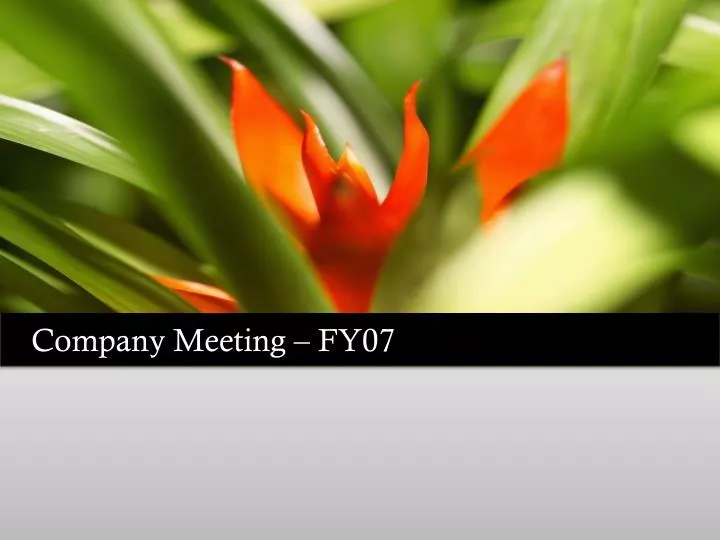 company meeting fy07