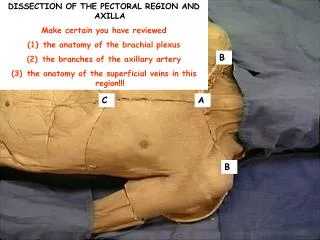 DISSECTION OF THE PECTORAL REGION AND AXILLA Make certain you have reviewed