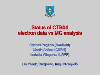 Status of CTB04 electron data vs MC analysis