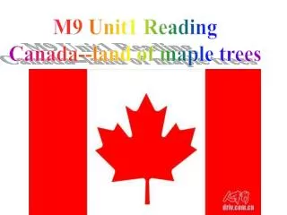 M9 Unit1 Reading Canada--land of maple trees