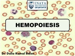 HEMOPOIESIS