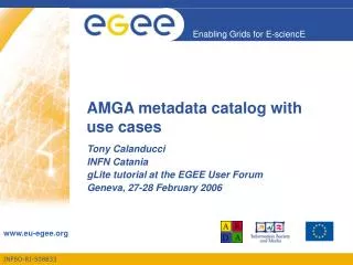 AMGA metadata catalog with use cases