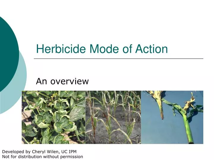 herbicide mode of action