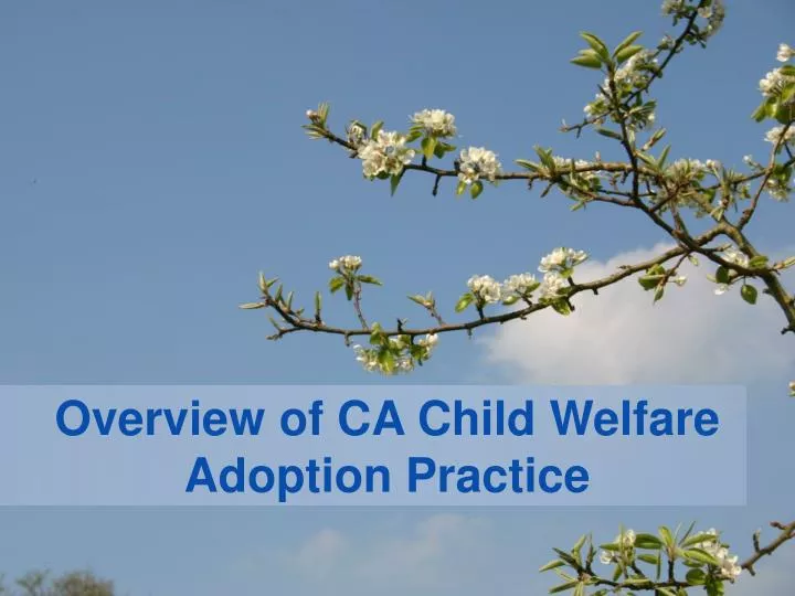 overview of ca child welfare adoption practice