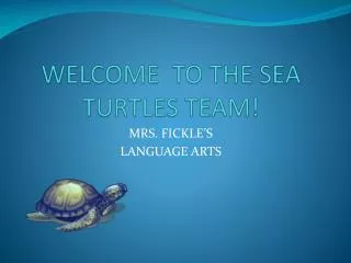 WELCOME TO THE SEA TURTLES TEAM!