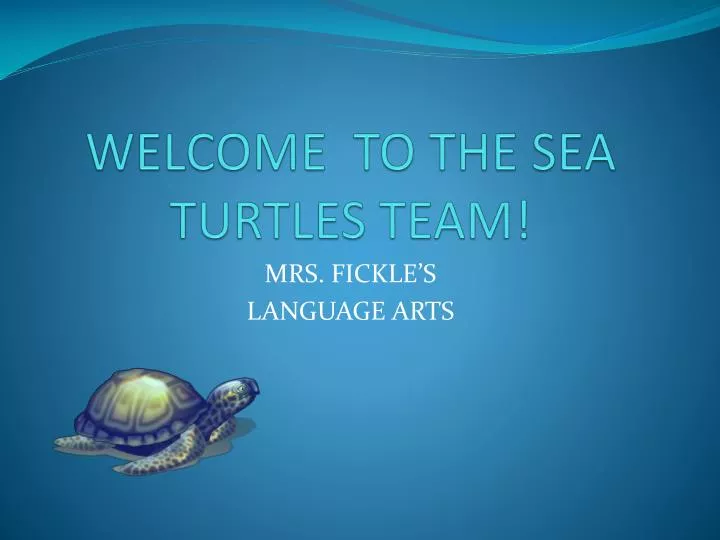 welcome to the sea turtles team