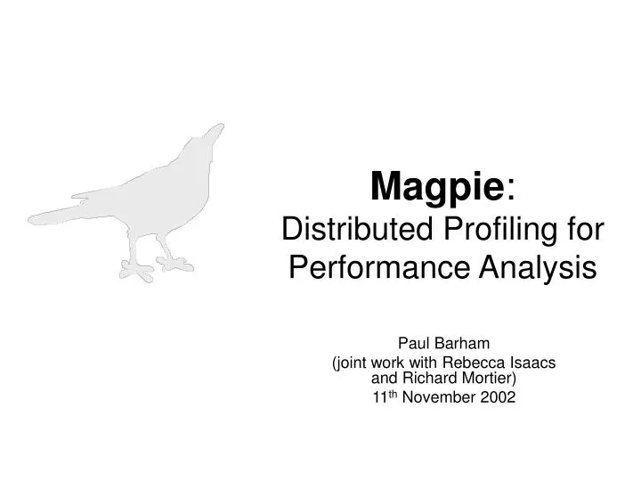 magpie distributed profiling for performance analysis