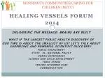 MINNESOTA COMMUNITIES CARING FOR CHILDREN (MCCC) - slide 1