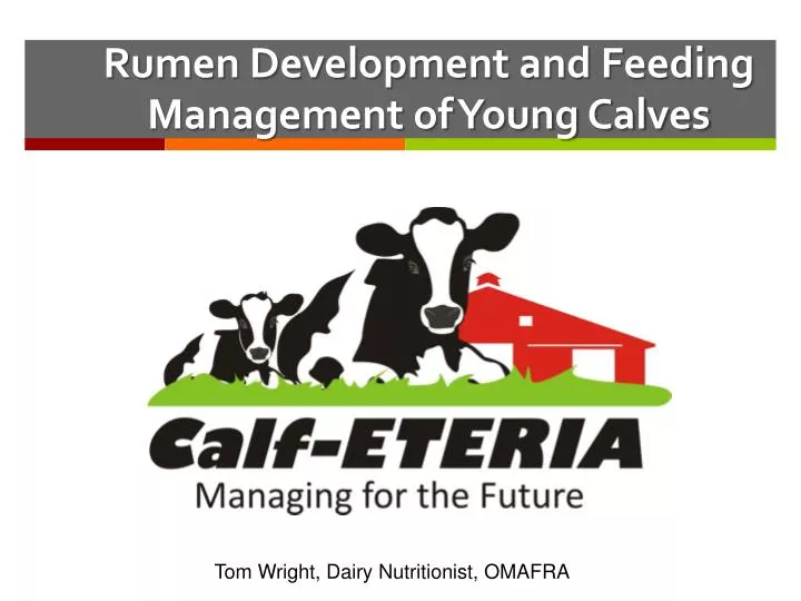 rumen development and feeding management of young calves