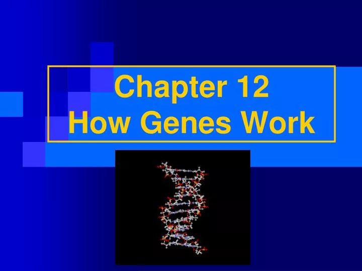 chapter 12 how genes work