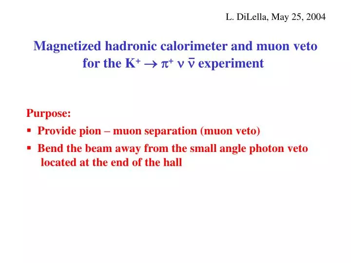 magnetized hadronic calorimeter and muon veto