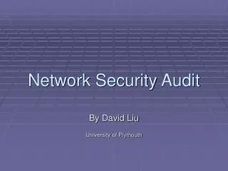 Network Security Audit
