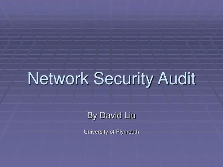 network security audit
