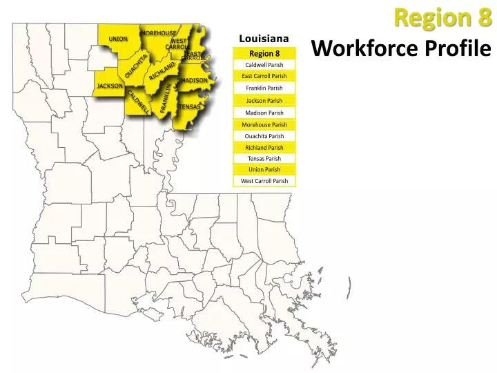 region 8 workforce profile