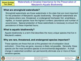 Stream Ecology Fact Sheet