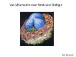 Van Moleculaire naar Modulaire Biologie - slide 1