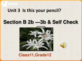 Unit 3 Is this your pencil?