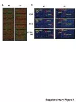 Effects of BCG Vaccination on H37Rv MV in Supplementary Figure Analysis - slide 1