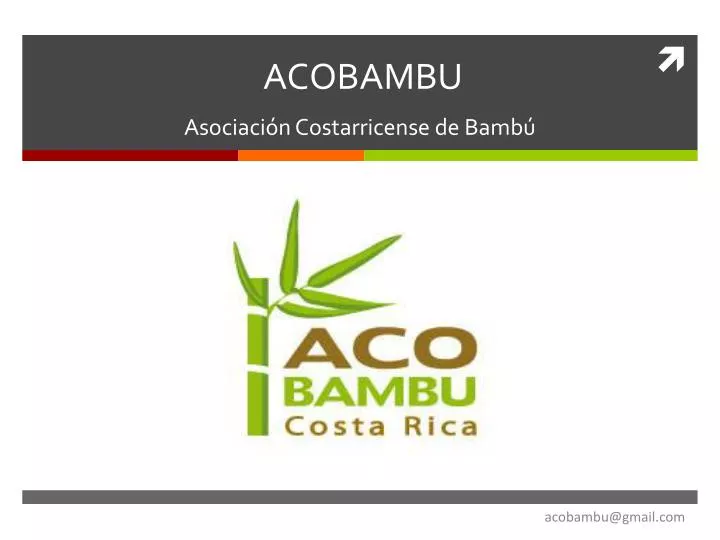 acobambu asociaci n costarricense de bamb
