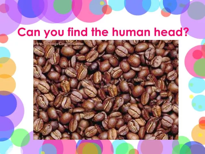 can you find the human head