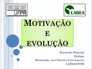 motiva o e evolu o