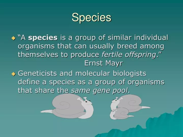 species