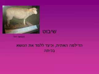 slide1