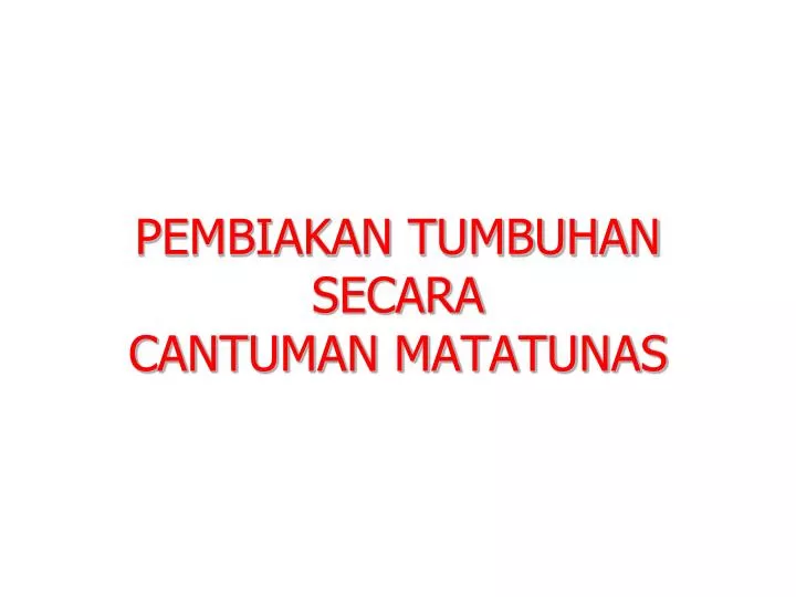 pembiakan tumbuhan secara cantuman matatunas