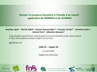 simuler la ressource foresti re l chelle d un massif application de simmem et de gymnos
