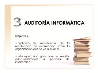 auditor a inform tica