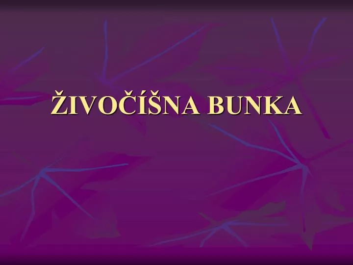 ivo na bunka