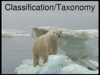 Classification/Taxonomy