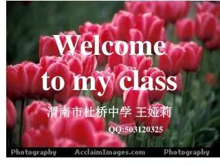 Welcome to my class ??????? ??? QQ:503120325