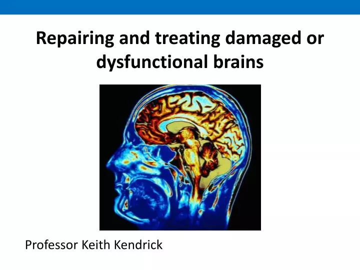 repairing and treating damaged or dysfunctional brains