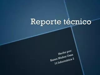 reporte t cnico
