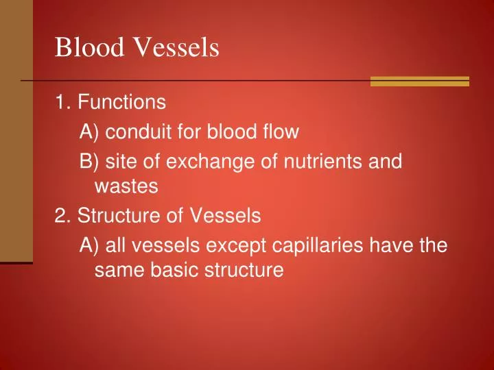 blood vessels