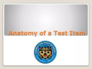 Anatomy of a Test Item