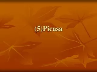 5 picasa
