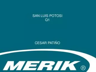 san luis potosi q1