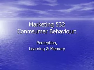 Marketing 532 Conmsumer Behaviour :