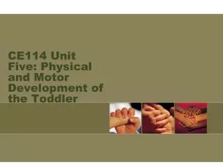CE114 Unit Five: Physical and Motor Development of the Toddler