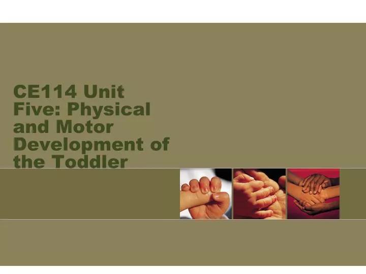 ce114 unit five physical and motor development of the toddler