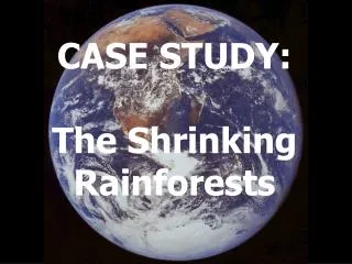 CASE STUDY: The Shrinking Rainforests