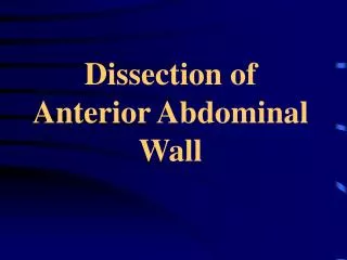 Dissection of Anterior Abdominal Wall