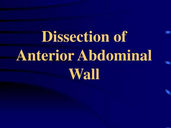 dissection of anterior abdominal wall