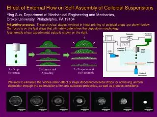 Effect of External Flow on Self-Assembly of Colloidal Suspensions
